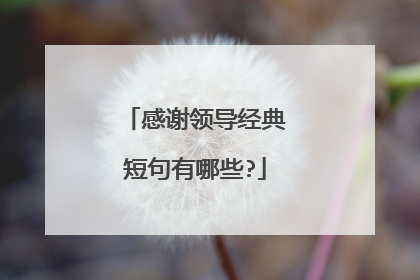 感谢领导经典短句有哪些?