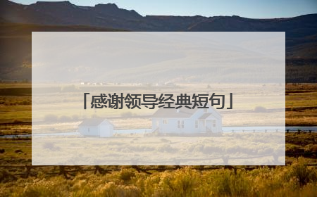 感谢领导经典短句