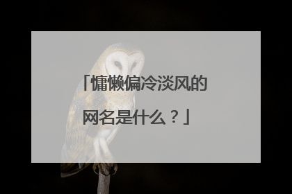 慵懒偏冷淡风的网名是什么?