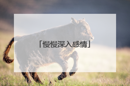 慢慢深入感情