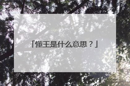 懂王是什么意思？