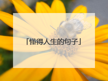懂得人生的句子