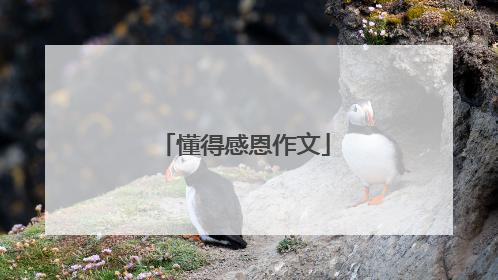 懂得感恩作文