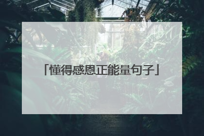 懂得感恩正能量句子