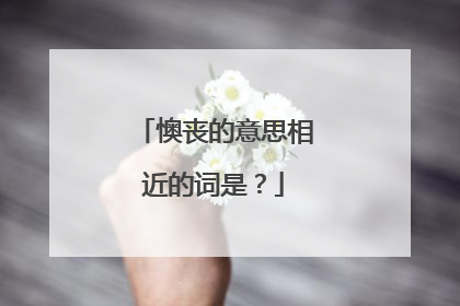 懊丧的意思相近的词是?