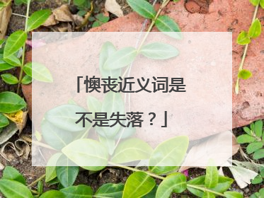 懊丧近义词是不是失落?