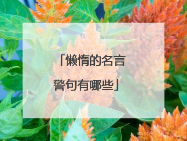 懒惰的名言警句有哪些