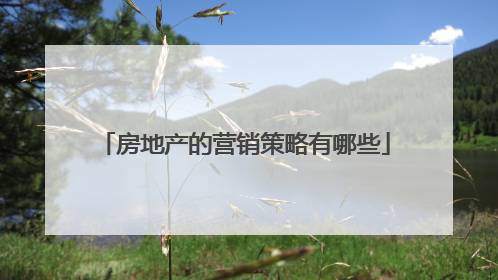 房地产的营销策略有哪些