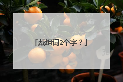 戴组词2个字？