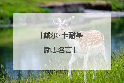 戴尔·卡耐基 励志名言