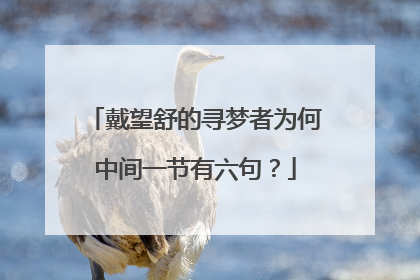 戴望舒的寻梦者为何中间一节有六句？