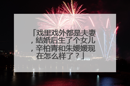 戏里戏外都是夫妻，结婚后生了个女儿，辛柏青和朱媛媛现在怎么样了？