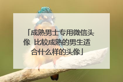 成熟男士专用微信头像 比较成熟的男生适合什么样的头像