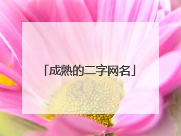 成熟的二字网名