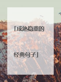 成熟稳重的经典句子