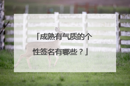 成熟有气质的个性签名有哪些?