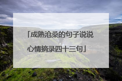 成熟沧桑的句子说说心情摘录四十三句
