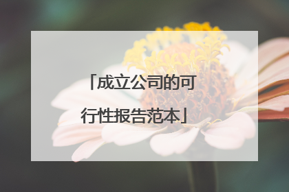 成立公司的可行性报告范本