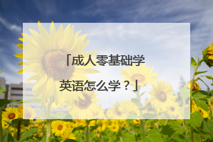 成人零基础学英语怎么学？