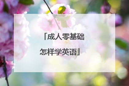 成人零基础怎样学英语