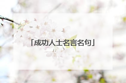 成功人士名言名句