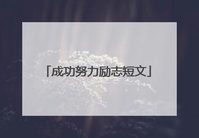 成功努力励志短文