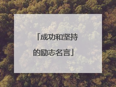 成功和坚持的励志名言