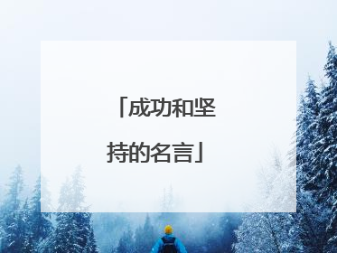 成功和坚持的名言