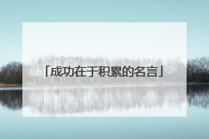 成功在于积累的名言
