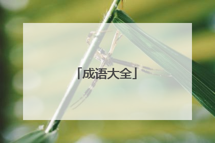 成语大全
