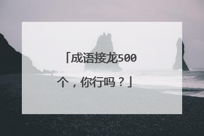 成语接龙500个，你行吗？