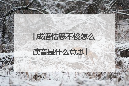 成语怙恶不悛怎么读音是什么意思