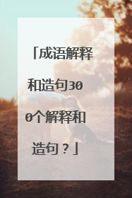 成语解释和造句300个解释和造句?
