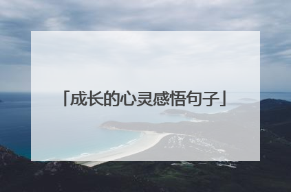 成长的心灵感悟句子