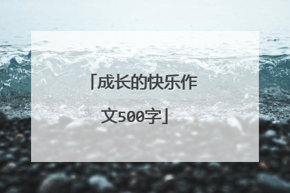成长的快乐作文500字