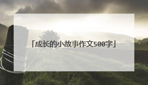 成长的小故事作文500字