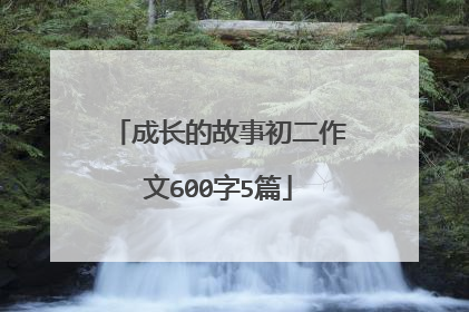 成长的故事初二作文600字5篇