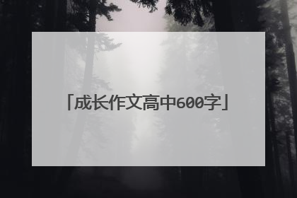 成长作文高中600字