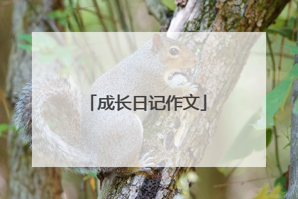 成长日记作文