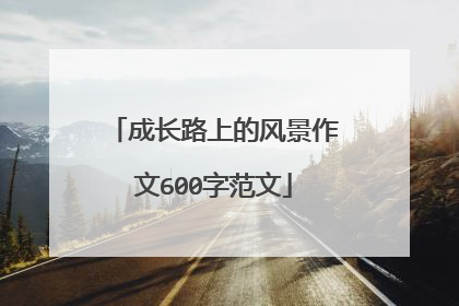 成长路上的风景作文600字范文