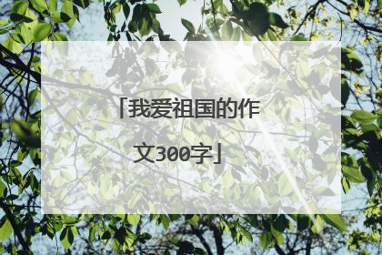 我爱祖国的作文300字