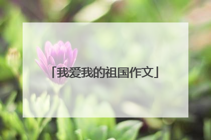 我爱我的祖国作文