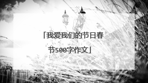 我爱我们的节日春节500字作文