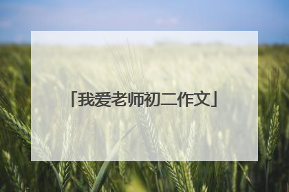 我爱老师初二作文