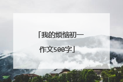 我的烦恼初一作文500字