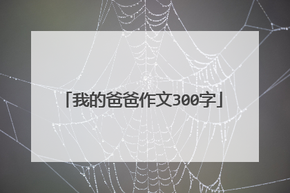 我的爸爸作文300字