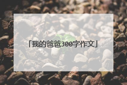我的爸爸300字作文