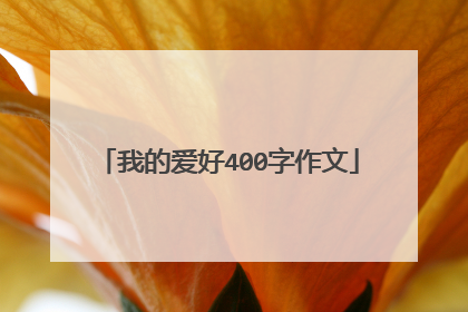 我的爱好400字作文