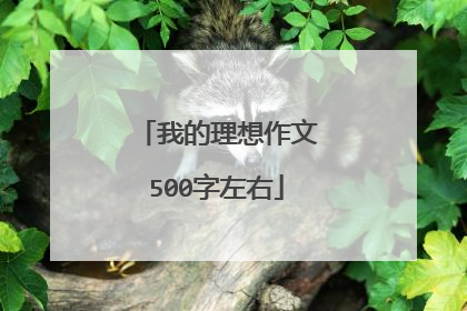 我的理想作文500字左右