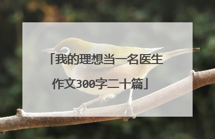 我的理想当一名医生作文300字二十篇